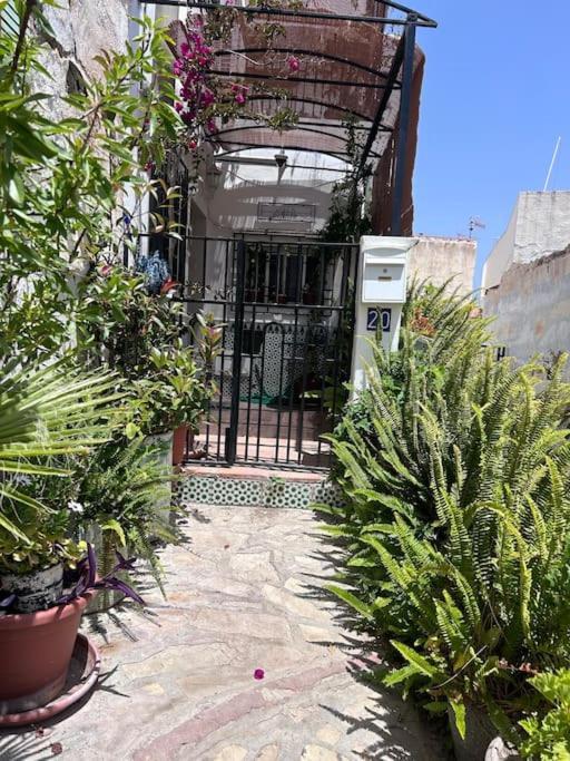 Amazing Sea And Mountain View! Casita Pinata Salobreña Exterior foto